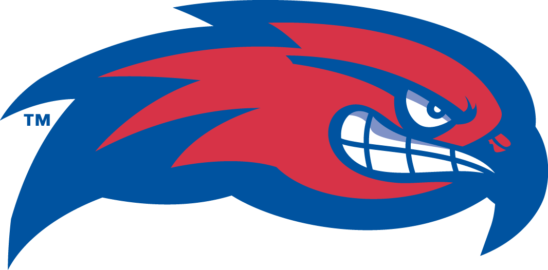 UMass Lowell River Hawks 2005-Pres Partial Logo diy iron on heat transfer